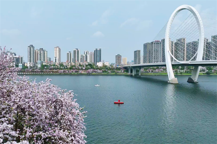 1644141553809096705.png 1644141553809096705.png