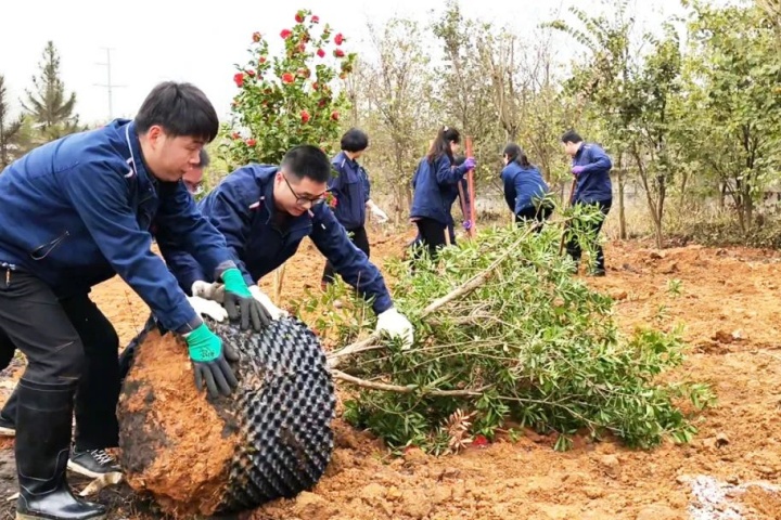 1899995712146423809.jpg 1899995712146423809.jpg